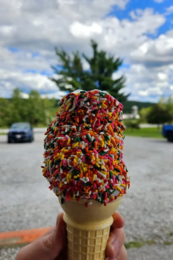 Black Raspberry Creemee with Rainbow Sprinkles